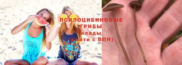 спиды Магадан
