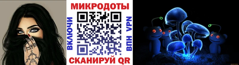 Галлюциногенные грибы Psilocybe  купить наркотик  Лагань 